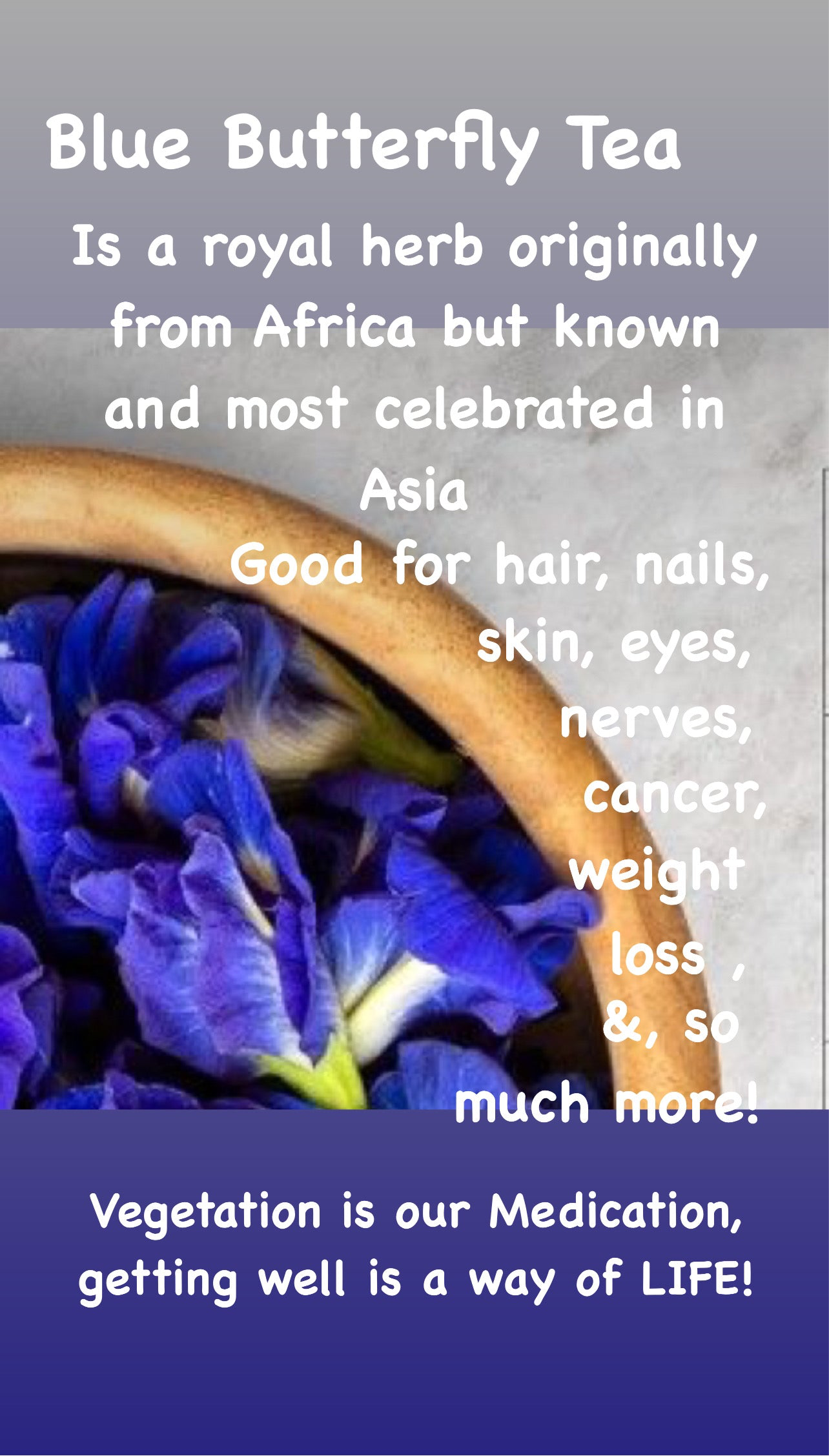 Blue Butterfly Tea Bagsw/ agave